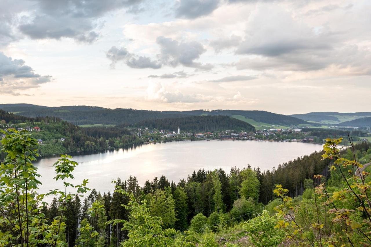 Ferienwohnung Sonnenglück mit großzügigem Südbalkon und Hochschwarzwaldkarte Lenzkirch Exterior foto